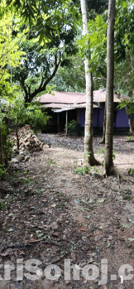 বসতভিটা অবস্থান কুন্দশী গ্রাম, লোহাগড়া উপজেলা, নড়াইল জেলা।